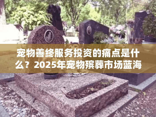 宠物善终服务投资的痛点是什么？2025年宠物殡葬市场蓝海攻略