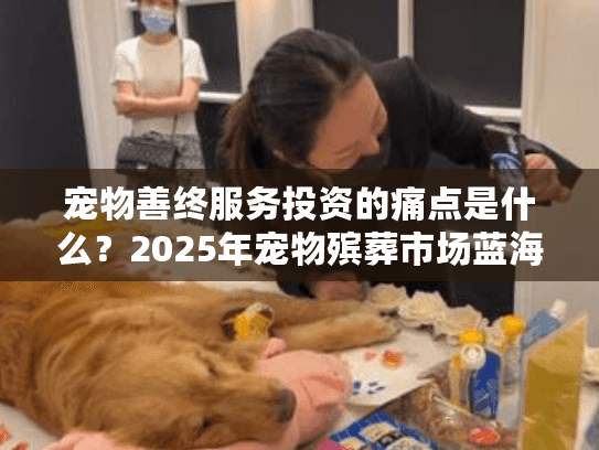 宠物善终服务投资的痛点是什么？2025年宠物殡葬市场蓝海攻略