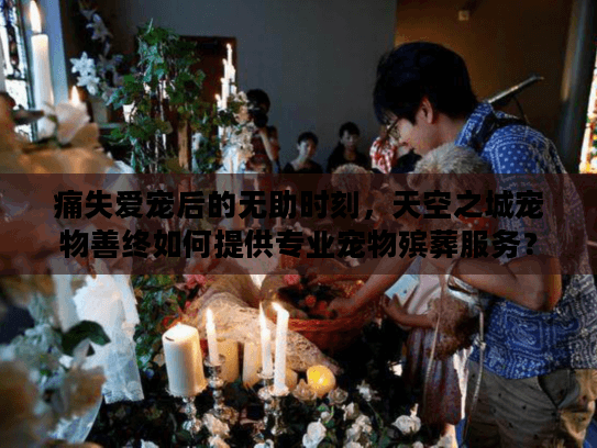 痛失爱宠后的无助时刻，天空之城宠物善终如何提供专业宠物殡葬服务？