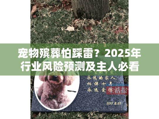 宠物殡葬怕踩雷？2025年行业风险预测及主人必看控制技巧