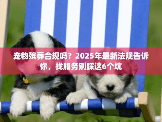 宠物殡葬合规吗？2025年最新法规告诉你，找服务别踩这6个坑