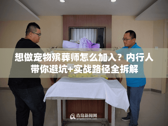 想做宠物殡葬师怎么加入？内行人带你避坑+实战路径全拆解