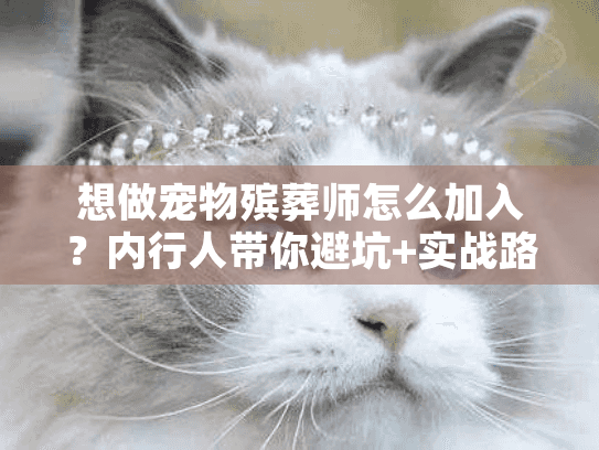 想做宠物殡葬师怎么加入？内行人带你避坑+实战路径全拆解