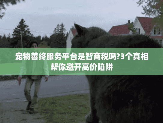 宠物善终服务平台是智商税吗?3个真相帮你避开高价陷阱