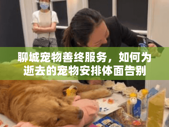 聊城宠物善终服务，如何为逝去的宠物安排体面告别