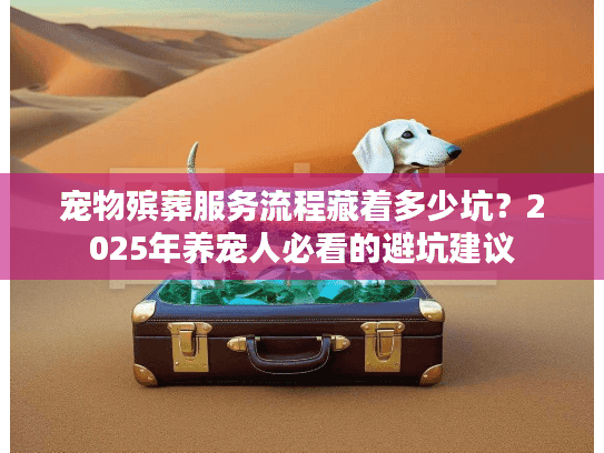 宠物殡葬服务流程藏着多少坑？2025年养宠人必看的避坑建议