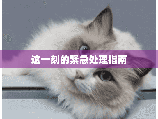 这一刻的紧急处理指南