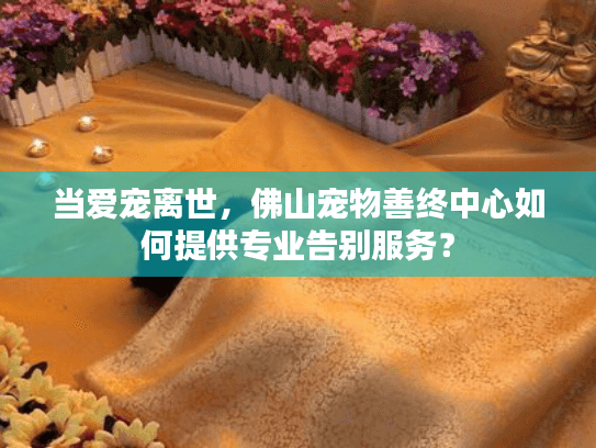 当爱宠离世，佛山宠物善终中心如何提供专业告别服务？