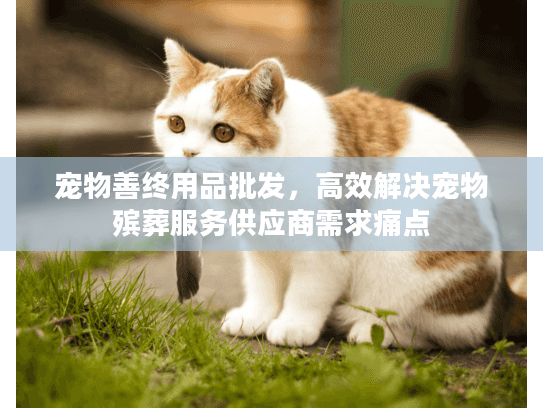 宠物善终用品批发，高效解决宠物殡葬服务供应商需求痛点