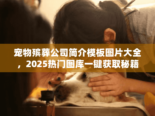 宠物殡葬公司简介模板图片大全，2025热门图库一键获取秘籍