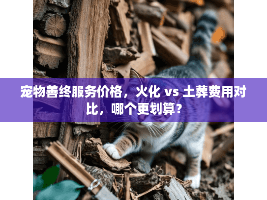 宠物善终服务价格，火化 vs 土葬费用对比，哪个更划算？