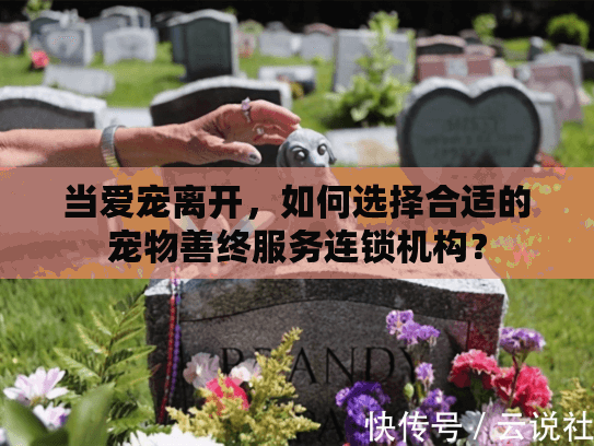 当爱宠离开，如何选择合适的宠物善终服务连锁机构？