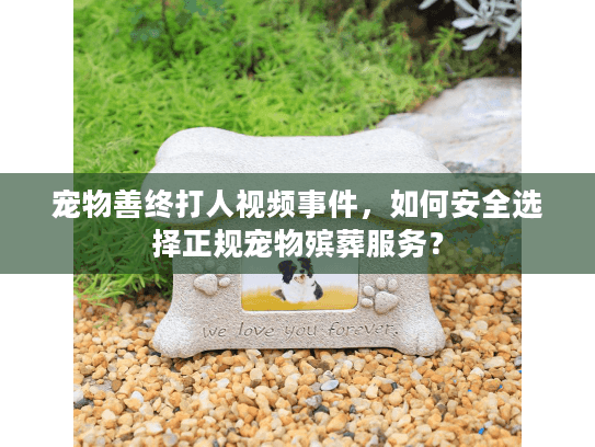 宠物善终打人视频事件，如何安全选择正规宠物殡葬服务？