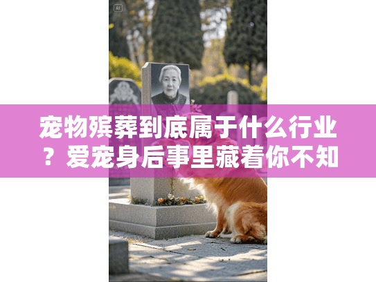 宠物殡葬到底属于什么行业？爱宠身后事里藏着你不知道的服务真相
