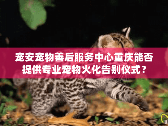 宠安宠物善后服务中心重庆能否提供专业宠物火化告别仪式？