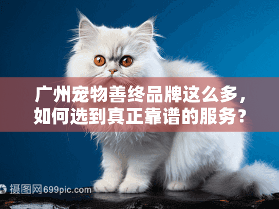 广州宠物善终品牌这么多，如何选到真正靠谱的服务？
