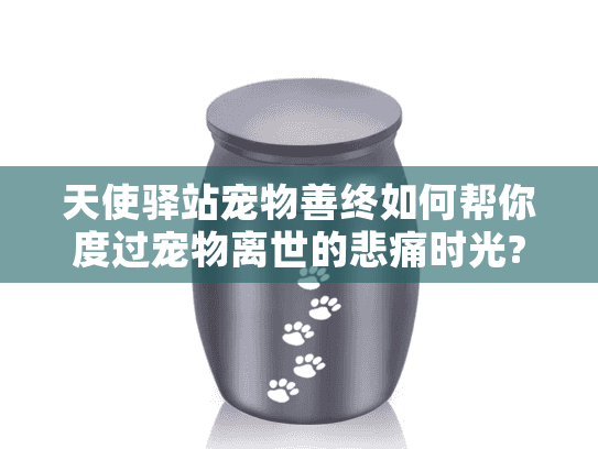 天使驿站宠物善终如何帮你度过宠物离世的悲痛时光?