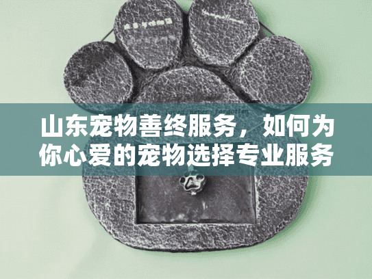 山东宠物善终服务，如何为你心爱的宠物选择专业服务？