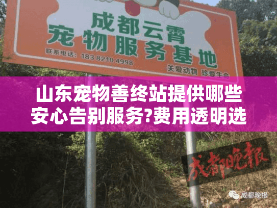 山东宠物善终站提供哪些安心告别服务?费用透明选择多吗?