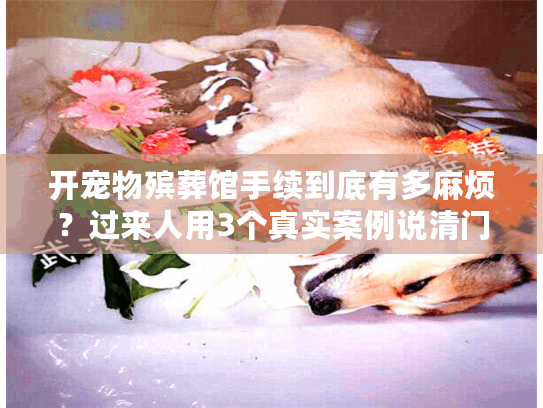 开宠物殡葬馆手续到底有多麻烦？过来人用3个真实案例说清门道