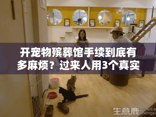 开宠物殡葬馆手续到底有多麻烦？过来人用3个真实案例说清门道