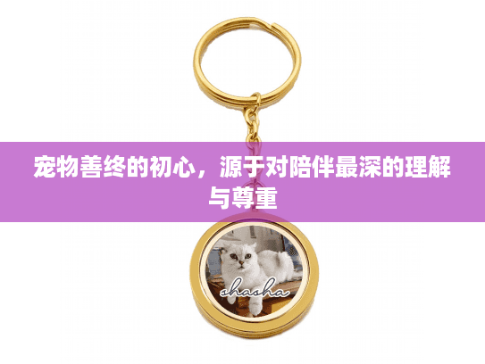 宠物善终的初心,源于对陪伴最深的理解与尊重 宠物善终的初心,源于对陪伴最深的理解与尊重