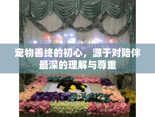 宠物善终的初心，源于对陪伴最深的理解与尊重