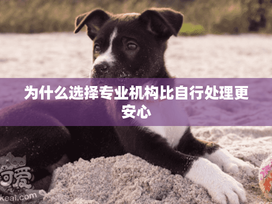 为什么选择专业机构比自行处理更安心