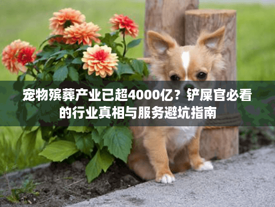 宠物殡葬产业已超4000亿?铲屎官必看的行业真相与服务避坑指南 宠物殡葬产业已超4000亿?铲屎官必看的行业真相与服务避坑指南