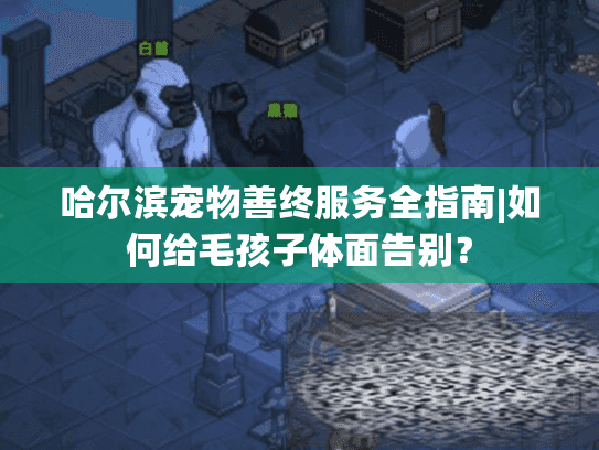 哈尔滨宠物善终服务全指南|如何给毛孩子体面告别？