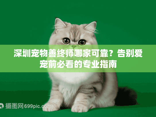 深圳宠物善终师哪家可靠？告别爱宠前必看的专业指南