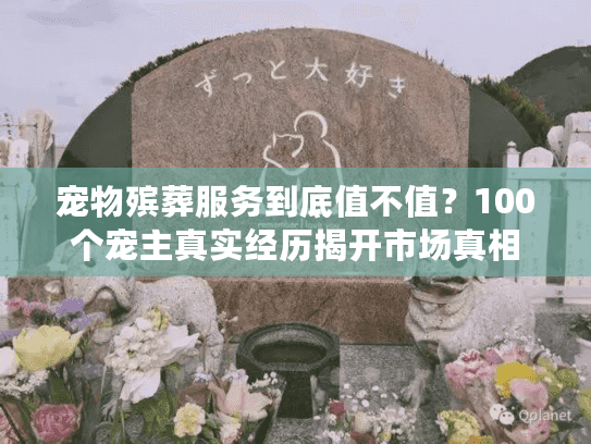 宠物殡葬服务到底值不值？100个宠主真实经历揭开市场真相