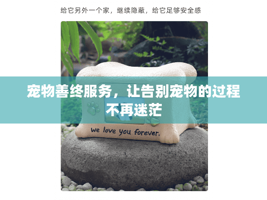 宠物善终服务，让告别宠物的过程不再迷茫