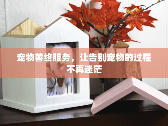 宠物善终服务，让告别宠物的过程不再迷茫