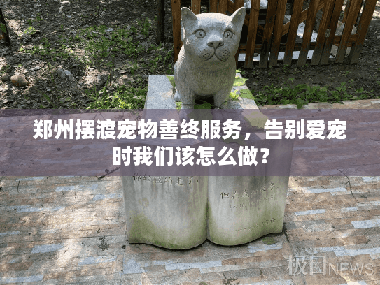 郑州摆渡宠物善终服务，告别爱宠时我们该怎么做？