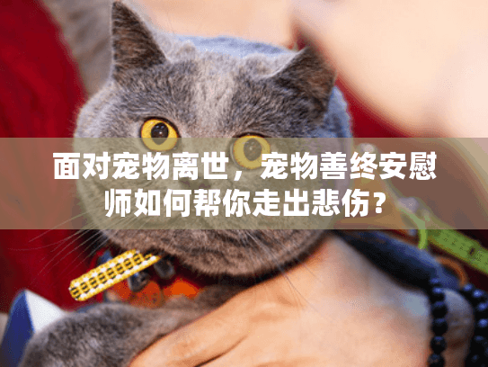 面对宠物离世，宠物善终安慰师如何帮你走出悲伤？