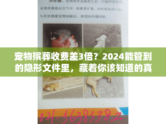 宠物殡葬收费差3倍？2024能管到的隐形文件里，藏着你该知道的真相