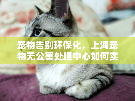 宠物告别环保化，上海宠物无公害处理中心如何实现无害安葬服务?