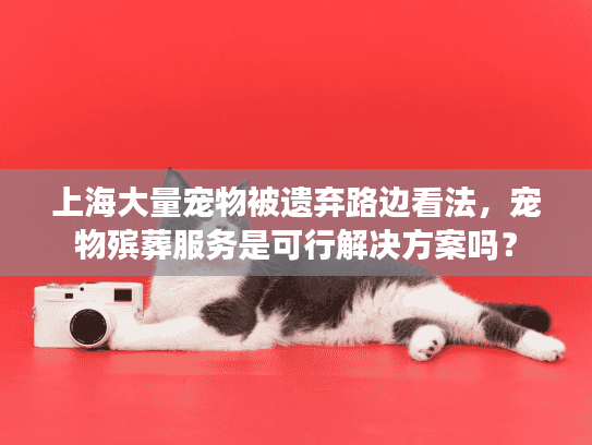 上海大量宠物被遗弃路边看法，宠物殡葬服务是可行解决方案吗？