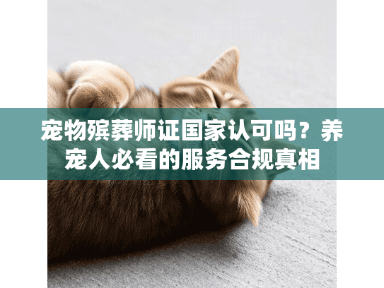 宠物殡葬师证国家认可吗？养宠人必看的服务合规真相
