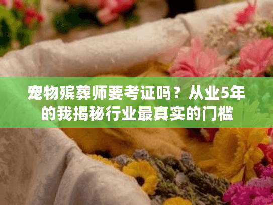 宠物殡葬师要考证吗？从业5年的我揭秘行业最真实的门槛
