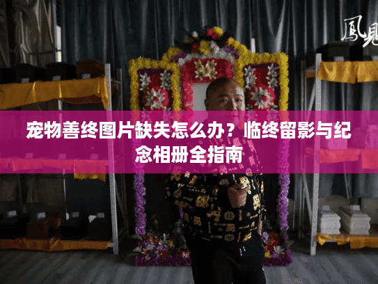宠物善终图片缺失怎么办？临终留影与纪念相册全指南