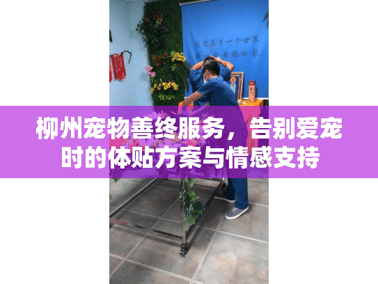 柳州宠物善终服务，告别爱宠时的体贴方案与情感支持