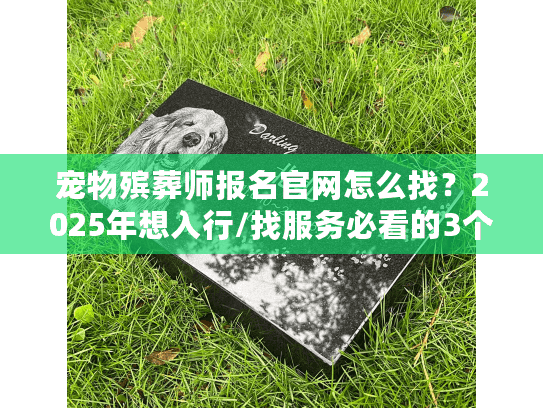 宠物殡葬师报名官网怎么找？2025年想入行/找服务必看的3个关键真相