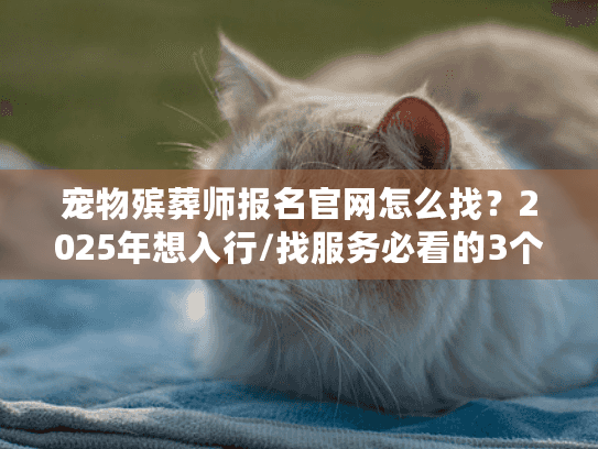 宠物殡葬师报名官网怎么找？2025年想入行/找服务必看的3个关键真相