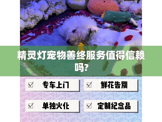 精灵灯宠物善终服务值得信赖吗?