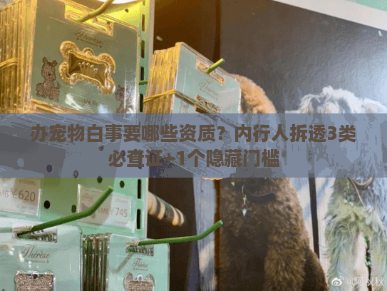 办宠物白事要哪些资质？内行人拆透3类必查证+1个隐藏门槛