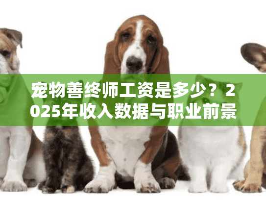 宠物善终师工资是多少？2025年收入数据与职业前景分析