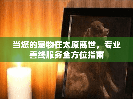 当您的宠物在太原离世，专业善终服务全方位指南