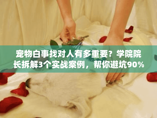 宠物白事找对人有多重要？学院院长拆解3个实战案例，帮你避坑90%痛点